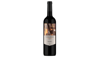 Casarena - Sinergy Malbec