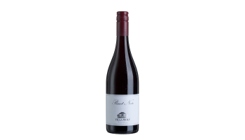 Rode wijn Villa Wolf - Pinot Noir Rheinland-Pfalz