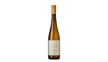 Witte wijn Wieninger - Nussberg Grüner Veltliner Wien Oostenrijk