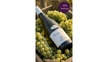 Villa Wolf - Riesling Dry witte wijn Pfalz Duitsland