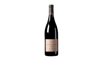 Antoine Sanzay - Saumur Champigny La Haye Dampierre Frankrijk 
