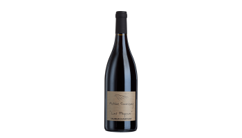 Antoine Sanzay - Saumur Champigny Les Poyeux Frankrijk 