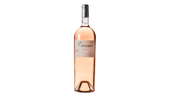Triennes - Rosé Méditerranée Jeroboam Carignan Merlot Syrah Cinsault Frankrijk rosé wijn Var
