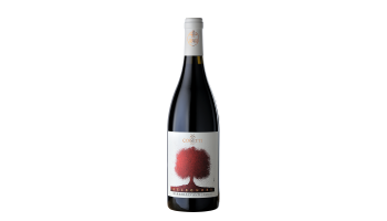 Cossetti - Barbera d'Asti Gelsomora Piemonte Italië rode wijn 