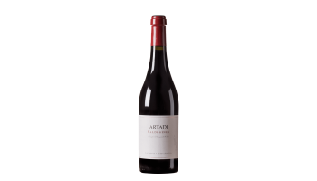 Artadi - Valdeginés Rioja Spanje