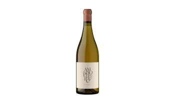 Gabrielskloof - Amphora Sauvignon Blanc Zuid - Afrika Bot River witte wijn 