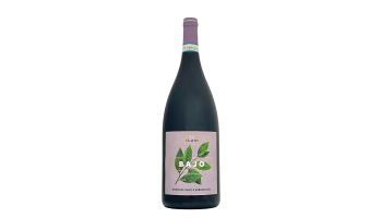 iLauri - Bajo Montepulciano d'Abruzzo Magnum Italië 