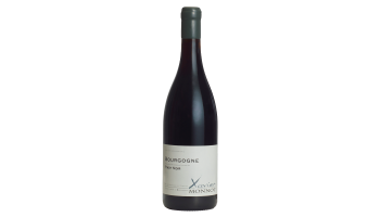 Bourgogne Pinot Noir Frankrijk Xavier Monnot rode wijn 