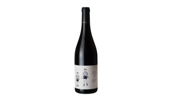 Rode wijn Domaine La Mariniere - Chinon La Mariniere Loire Frankrijk