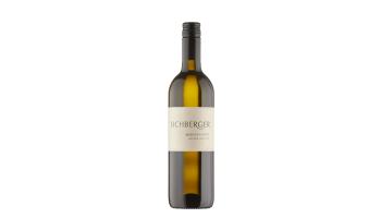 Weingut Eichberger - Grüner Veltliner Ried Hundspoint