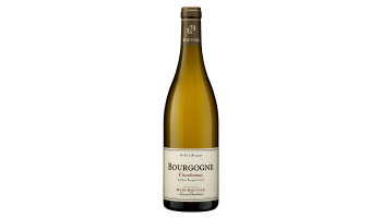 Domaine René Bouvier - Bourgogne Chardonnay Gevrey Chambertin Frankrijk witte wijn