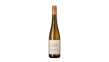 Witte wijn Wieninger - Wiener Grüner Veltliner Oostenrijk Wien witte wijn 