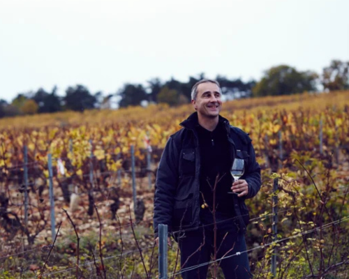 Domaine Bernard Defaix